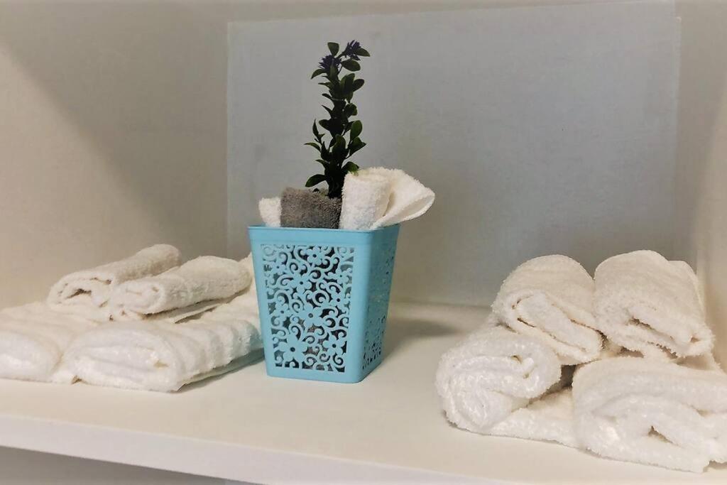 Lovely 1 Bedroom Apartment W/Private Parking Ensenada Ngoại thất bức ảnh